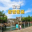 광명관광주 | 광명동굴 아이랑 가볼만한 곳｜여름 실내 나들이 추천