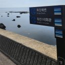 해송펜션 | 포항 화진해수욕장 송라해송펜션 방문후기