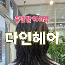 (주)다인 | 중고등학생 허쉬컷 중단발 레이어드 [다인헤어] 내돈내산