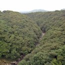 [한국의 아름다운 숲 37] 제주 서귀포시 돈내코숲 이미지