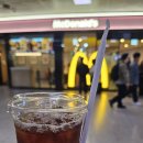 아리별마을 | [공지] [국내 여행] 부산 1박 2일 여행기 Part 1. 지스타 2025(2025.11.15 토요일)