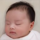 크라운 | 임신 24주 일상: 베이비페이스, 엄마생파, 파머스튼살크림
