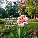예감을 신뢰하라! 이미지