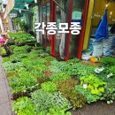 대한농자재 이미지