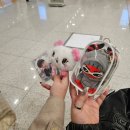 빛나 여행 일본어 | 유타가 나에게 오는 건 너무 수동적인듯. 내가 유타에게 간다.