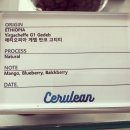 세루리안인사 이미지