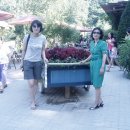 양심농장 이미지