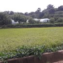 금가면사무소 이미지