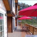 아일랜드 365 이미지