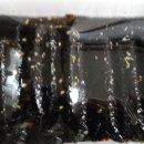 늘꼬마김밥떡볶이