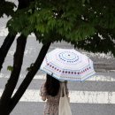 소나기 - 진주시 대신로 289-1 | 소나기