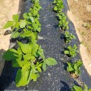 기찬농장 이미지