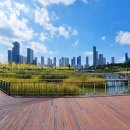 세종호수공원 이미지