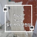 고잔로1R | 안산빌라 기존필름 제고 후 방화문 샷시 필름시공 현관문필름
