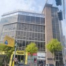 멍바이멍 반려견 유치원 이미지