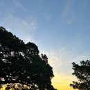 돔수산,정육 | [2026.04 안식월 여행][멜버른] Day20. 잠과 싸운 하루.