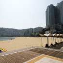 암남공원 이미지