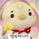 카페수수 - 함양군 고운로 51 | 카페수수