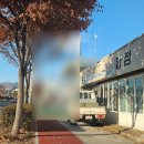 밀양대로 이미지