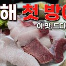 원정수산