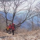 광산골식당 이미지