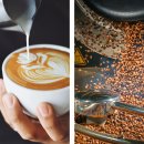 바리스타기초 이미지