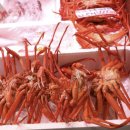 플러스할인마트 이미지