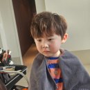 3797 | 탕정역미용실 / 오브오헤어 키즈컷&amp;펌 만족 후기
