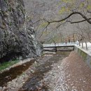 강천산군립공원(현수교) 이미지