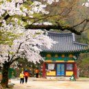 김제 모악산 캠핑파크(자동차) 이미지