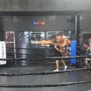 레전드 복싱 체육관 이미지