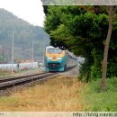 온천단지 가로수길 이미지