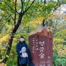 곰배령 돌배나무집 | 가을여행지 인제 곰배령 자연 트레킹 후기