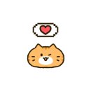 꽃길만걷개 이미지