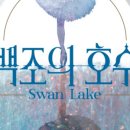 국립발레단 ’백조의 호수’ 이미지