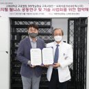 연네트웍스