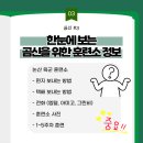 엠텔 | [곰신#3-2] 곰신을 위한 훈련소 정보 한눈에 보기! (훈련소 사진, 1~5주차 훈련 2024년 10월 기준)