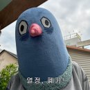 스픽투 | 영어회화 어플 <스픽> 1년 수강 후기