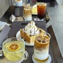 카페숲 | 기장 학리방파제 일광 카페 숲 내돈내산 솔직후기