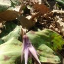 구암동112 이미지