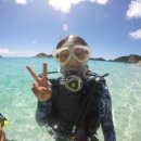 [오키나와] 케라마 제도 토카시키 섬 당일 투어 + 체험 다이빙 이미지