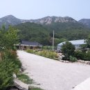 효심당 네이버블로그