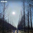 주식회사 얼티밋포텐셜 이미지
