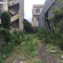 서귀동-2 이미지