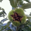 용곡농장 이미지