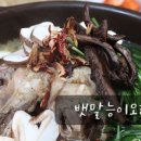능이야오리야 이미지