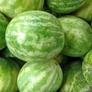 기호농장 이미지