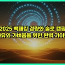 포크기타 (중급) | 2025 백패킹 경량화 솔로 캠핑: 자유와 가벼움을 위한 완벽 가이드