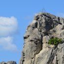 조각공원 주차장 이미지