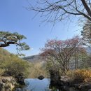 곤지암/화담숲 (예매, 리프트, 모노레일, 날씨, 꽃, 시간, 평일, 주차, 간식)